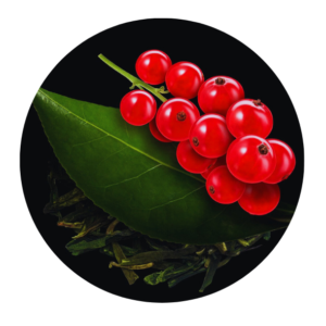 Seizoensbehandeling Lente zomer Sothys rode bes groene thee 2026 Beautyvit Huidverbetering Breda gezichtsbehandeling schoonheidsspecialiste schoonheidsbehandeling