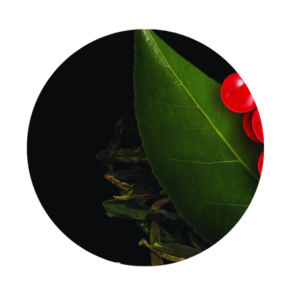 Groene-thee-seizoensbehandeling-lichaam-gezicht-massage-rode-bes-sothys-beautyvit-huidverbetering-breda