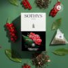 Groene- thea-seizoen-lente-zomer-sothys-rode bes-breda-beautyvit huidverbetering