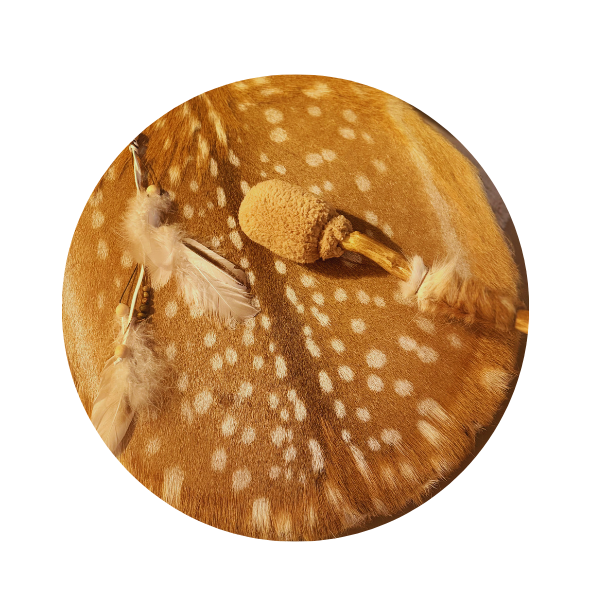 krachtdrum -sjamanendrum -damhert -sound -healing -drum -healing -spirituele -drum- energetische - sessie- breda - princenhage